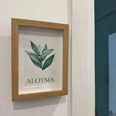 招待所 Casa Botanya *