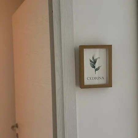 Casa Botanya 招待所