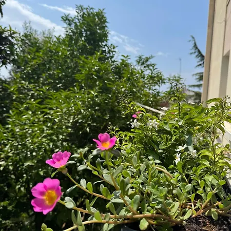 Gæstehus Casa Botanya - Genova