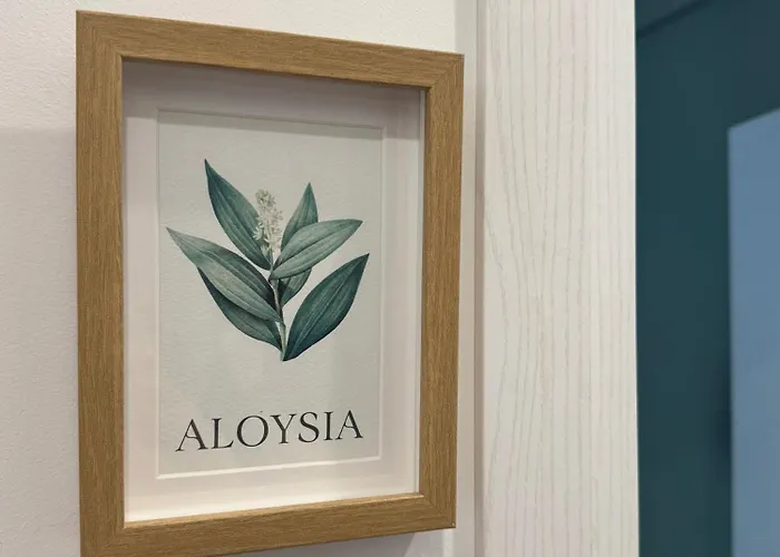 Pensjonat Casa Botanya - 3*