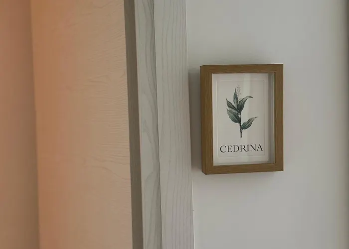 Casa Botanya - Pensjonat